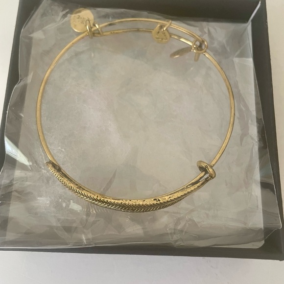 Alex and Ani Gold Tone Infused Energy Bracelet  NEW IN BOX - Picture 2 of 8